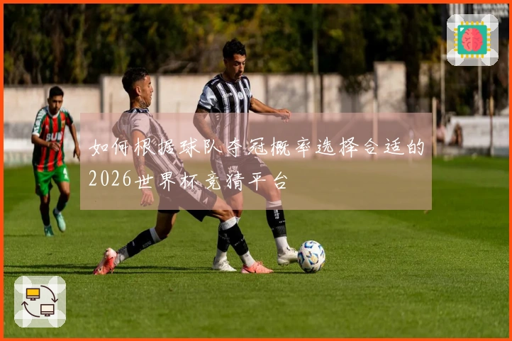 如何根据球队夺冠概率选择合适的2026世界杯竞猜平台