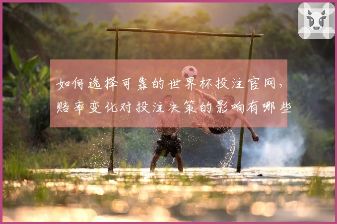如何选择可靠的世界杯投注官网，赔率变化对投注决策的影响有哪些？