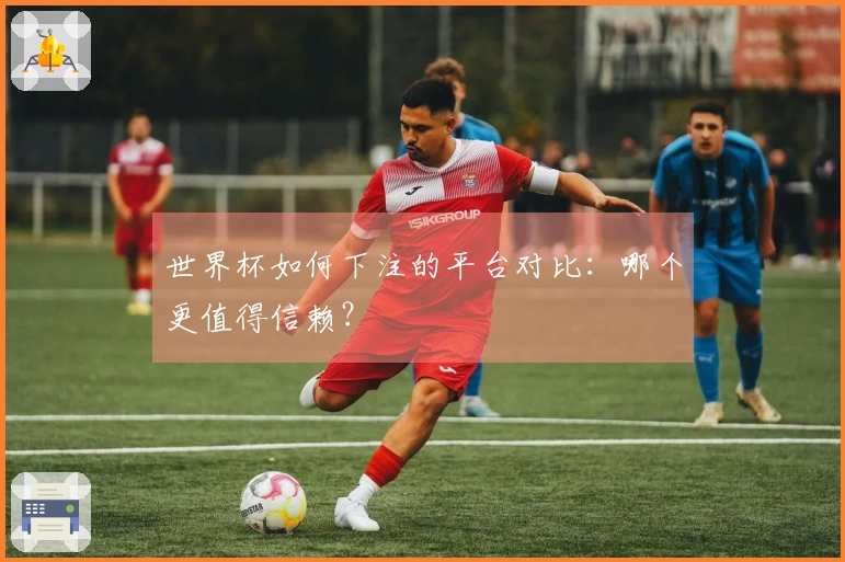 世界杯如何下注的平台对比：哪个更值得信赖？