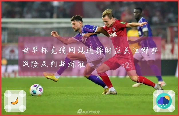 世界杯竞猜网站选择时应关注哪些风险及判断标准