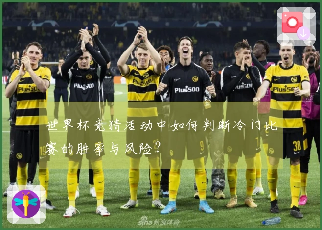 世界杯竞猜活动中如何判断冷门比赛的胜率与风险？