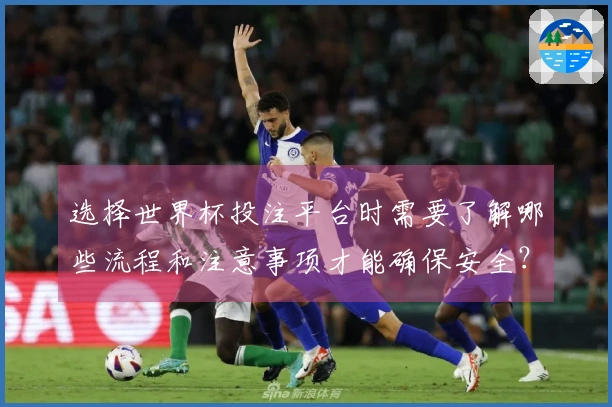 选择世界杯投注平台时需要了解哪些流程和注意事项才能确保安全？