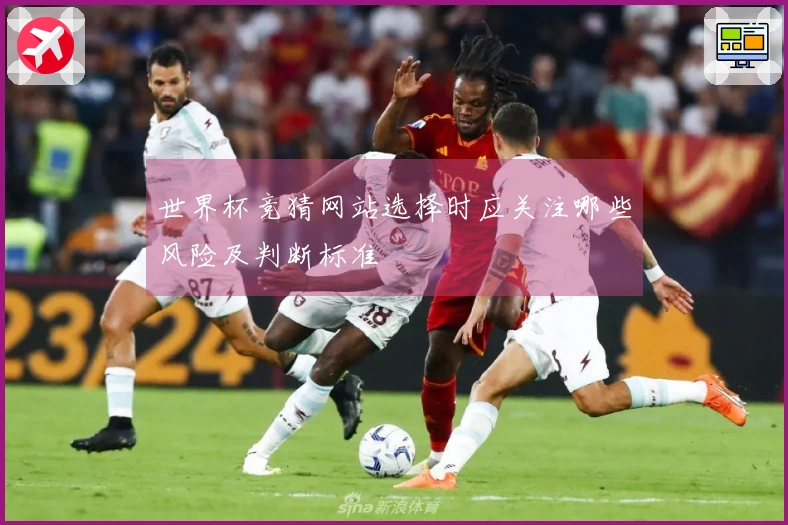 世界杯竞猜网站选择时应关注哪些风险及判断标准