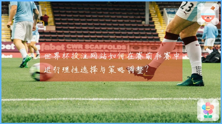 世界杯投注网站如何在赛前和赛中进行理性选择与策略调整？