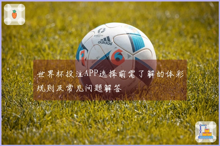世界杯投注APP选择前需了解的体彩规则及常见问题解答