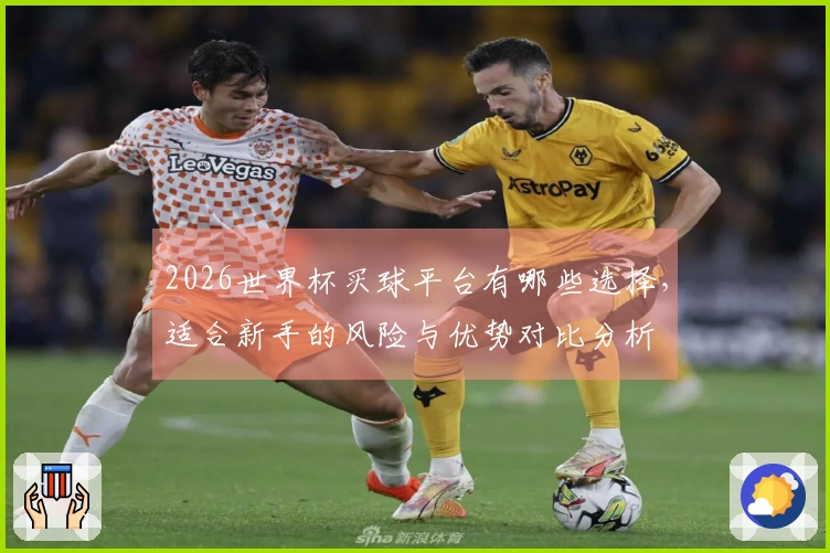 2026世界杯买球平台有哪些选择，适合新手的风险与优势对比分析
