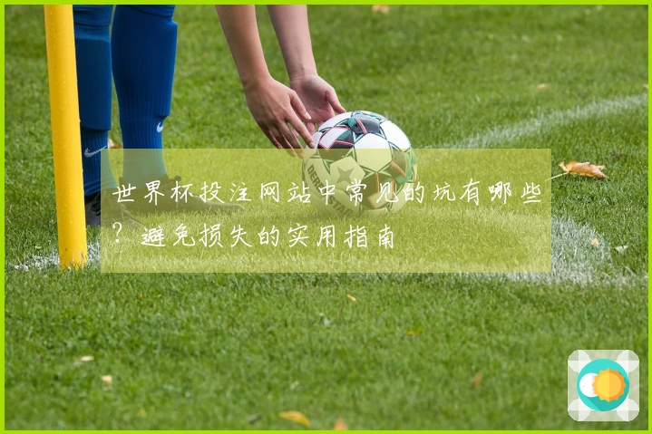 世界杯投注网站中常见的坑有哪些？避免损失的实用指南