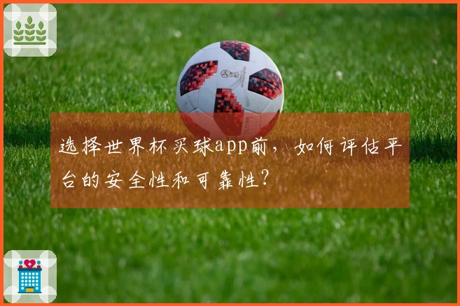 选择世界杯买球app前，如何评估平台的安全性和可靠性？