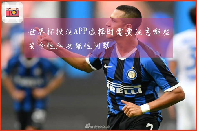 世界杯投注APP选择时需要注意哪些安全性和功能性问题