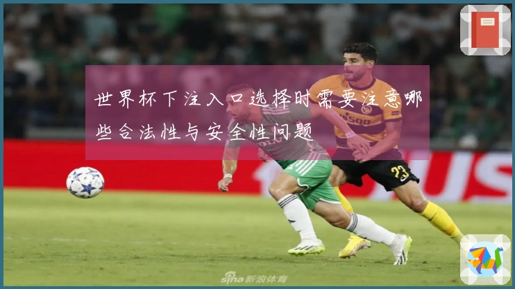 世界杯下注入口选择时需要注意哪些合法性与安全性问题