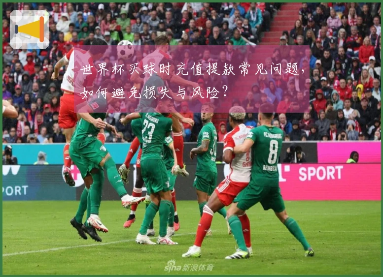 世界杯买球时充值提款常见问题，如何避免损失与风险？