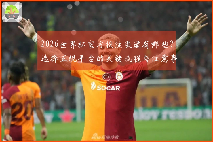 2026世界杯官方投注渠道有哪些？选择正规平台的关键流程与注意事项