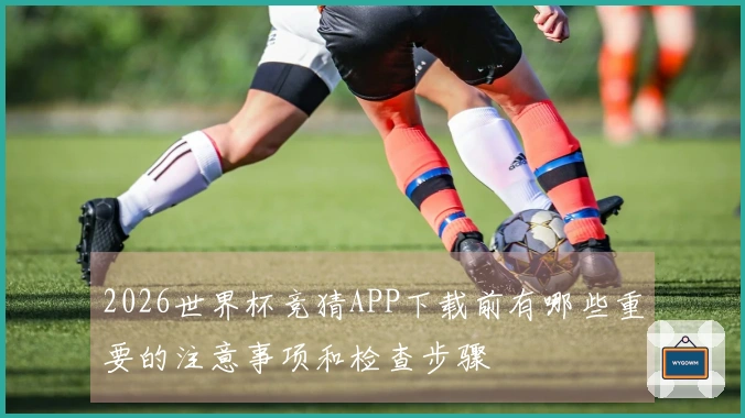2026世界杯竞猜APP下载前有哪些重要的注意事项和检查步骤
