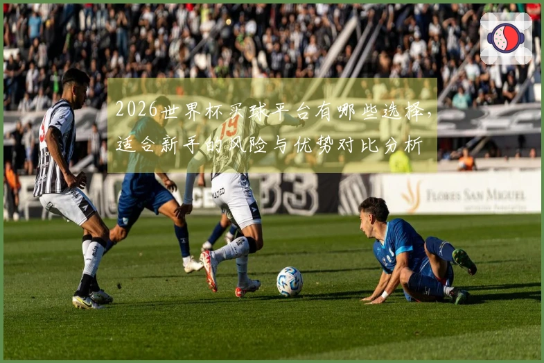 2026世界杯买球平台有哪些选择，适合新手的风险与优势对比分析
