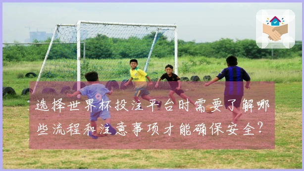 选择世界杯投注平台时需要了解哪些流程和注意事项才能确保安全？