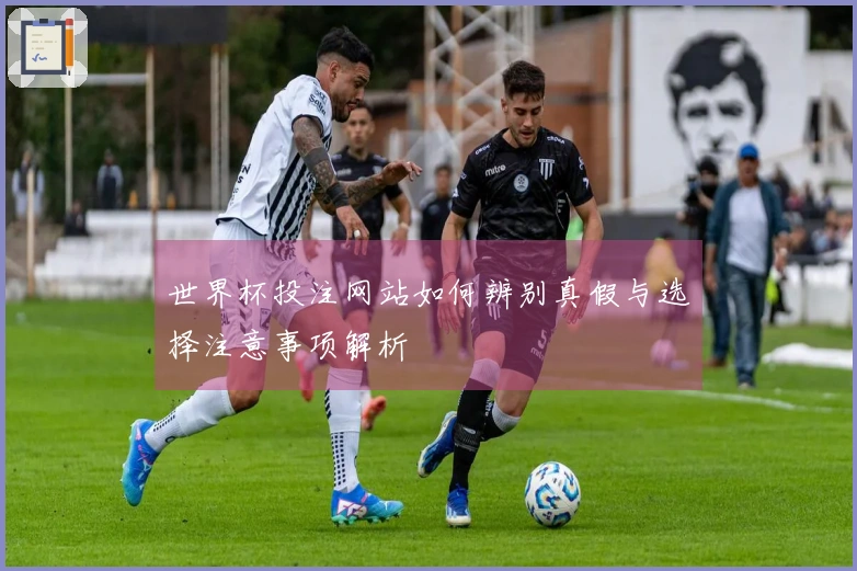 世界杯投注网站如何辨别真假与选择注意事项解析
