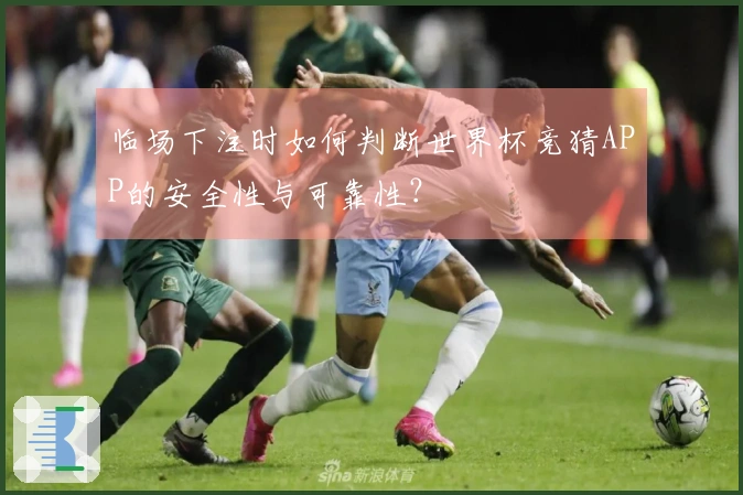 临场下注时如何判断世界杯竞猜APP的安全性与可靠性？